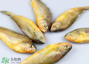小黃魚(yú)不能和什么一起吃？小黃魚(yú)和什么相克？