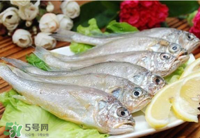 小黃魚多少錢一斤？野生小黃魚多少錢一斤？
