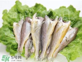 小黃魚可以養(yǎng)殖嗎？小黃魚能人工養(yǎng)殖嗎？