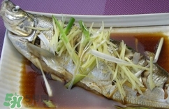 白條魚多少錢一斤2017？野生白條魚多少錢一斤