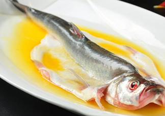 白條魚能長多大？白條魚可以長多大？