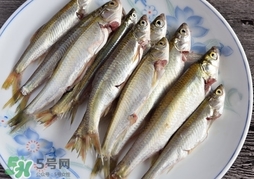 孕婦可以吃白條魚嗎？白條魚孕婦能吃嗎？