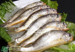 小黃魚(yú)不能和什么一起吃？小黃魚(yú)和什么相克？
