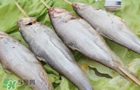 馬口魚怎么釣？馬口魚什么時候釣最好