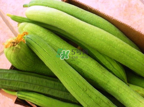 7月份吃什么蔬菜？七月份吃什么蔬菜？