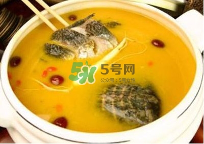 甲魚(yú)湯怎么做？甲魚(yú)湯的做法