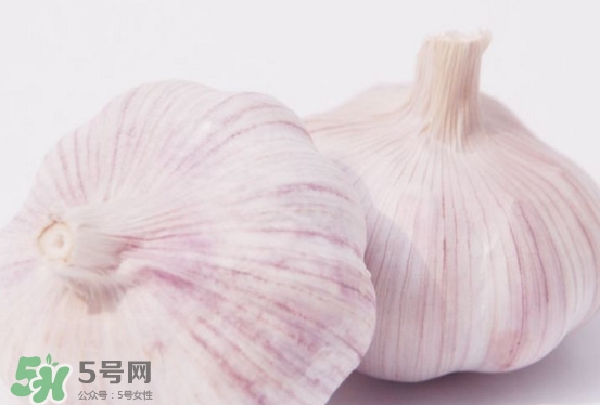 新蒜頭多少錢一斤2017？新蒜頭市場價格