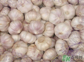 新蒜頭什么時候上市？新蒜頭幾月份上市