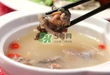 甲魚(yú)湯怎么做？甲魚(yú)湯的做法