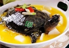 甲魚不能和什么一起吃？甲魚不能跟什么食物一起吃