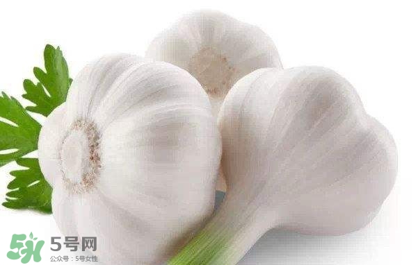 新蒜頭多少錢一斤2017？新蒜頭市場價格