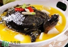 甲魚湯孕婦能喝嗎？甲魚湯孕婦可以喝嗎