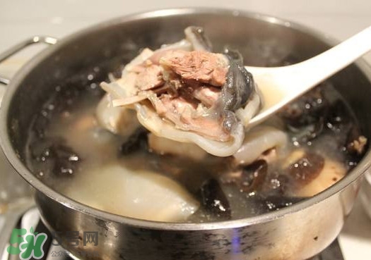 甲魚湯孕婦能喝嗎？甲魚湯孕婦可以喝嗎