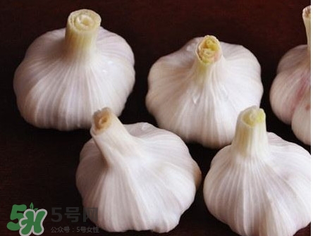 新蒜頭怎么弄成老蒜頭？新蒜頭和老蒜頭的區(qū)別