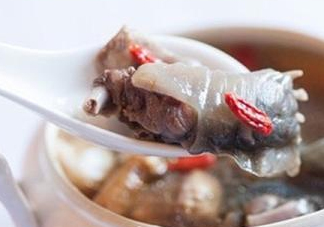甲魚湯怎么做？甲魚湯的做法