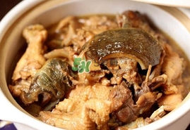 甲魚怎么做好吃？甲魚怎樣做最好吃