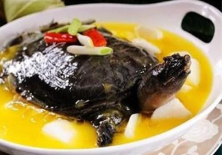 甲魚不能和什么一起吃？甲魚不能跟什么食物一起吃