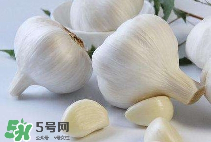 新蒜頭怎么保存不發(fā)芽？新蒜頭怎么存放