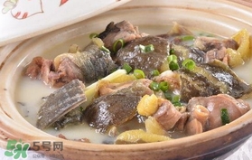 喝甲魚湯有什么好處？甲魚湯的功效與作用