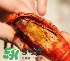 蝦黃孕婦能吃嗎？蝦黃在哪個位置圖解
