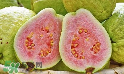 番石榴中間的籽能吃嗎？番石榴里面的籽能吃嗎