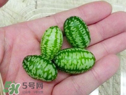 迷你西瓜能生吃嗎？迷你西瓜怎么吃