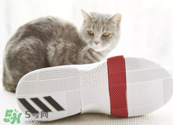 adidas dame3上腳怎么樣？阿迪達(dá)斯利拉德三代測(cè)評(píng)