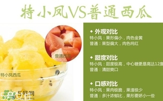 特小鳳西瓜孕婦能吃嗎？特小鳳西瓜孕婦可以吃嗎