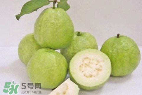 番石榴什么時候成熟？番石榴什么時候上市