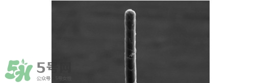 熊野巨匠小熊筆怎么用？熊野巨匠小熊去黑頭筆使用方法