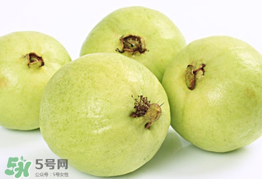 番石榴什么時候成熟？番石榴什么時候上市