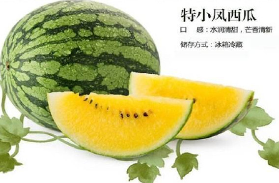 特小鳳西瓜是轉(zhuǎn)基因嗎？特小鳳西瓜是不是轉(zhuǎn)基因