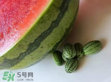迷你西瓜是轉(zhuǎn)基因水果嗎？迷你西瓜是不是轉(zhuǎn)基因？