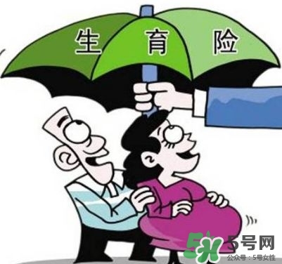 生育保險能報多少錢？生育保險報銷條件、流程