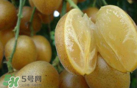 黃皮果多少錢一斤2017？黃皮果價格