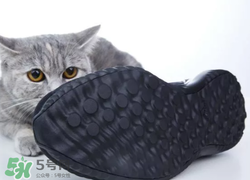 adidas alphabounce上腳怎么樣？阿迪達斯阿爾法小椰子測評