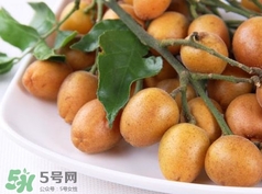 雞心黃皮多少錢一斤2017？雞心黃皮價(jià)格