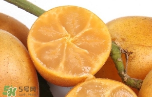 黃皮果怎么保存？黃皮果如何保存