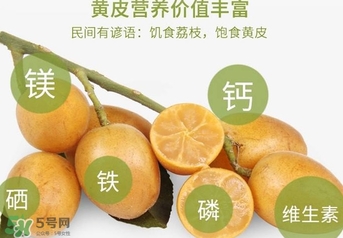 如何種植黃皮果？黃皮果怎么種植？