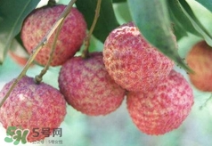 荔枝吃多了會(huì)怎么樣？荔枝上火怎么辦？