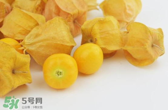姑娘果是寒性嗎？姑娘果是涼性還是熱性？