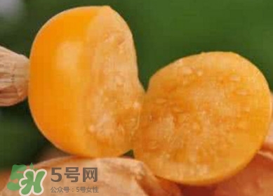 姑娘果是寒性嗎？姑娘果是涼性還是熱性？