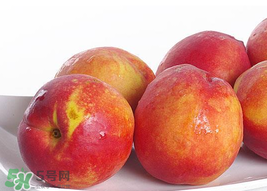 吃油桃會拉肚子嗎？拉肚子可以吃油桃嗎？