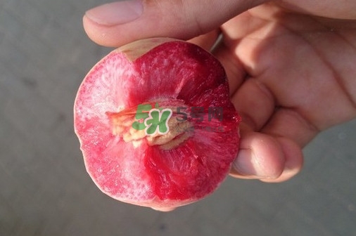 血桃多少錢(qián)一斤2017？血桃哪個(gè)品種最好吃