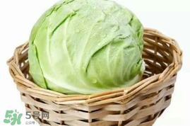 圓白菜是包菜嗎？圓白菜是大頭菜嗎？
