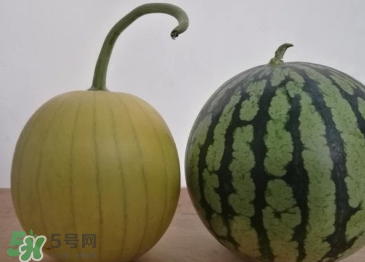 四色瓤西瓜是轉(zhuǎn)基因嗎？四色瓤西瓜是不是轉(zhuǎn)基因？