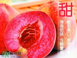 血桃?guī)自鲁墒?？血桃有什么營養(yǎng)價值
