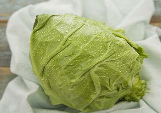 圓白菜是包菜嗎？圓白菜是大頭菜嗎？