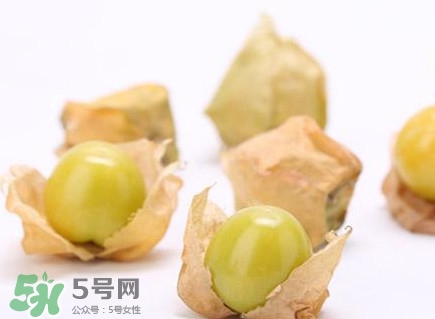 姑娘果什么時候成熟？姑娘果什么時候上市