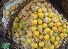 花姑娘水果怎么吃？花姑娘水果吃之前要洗嗎？
